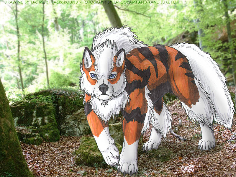 Arcanine in the forest