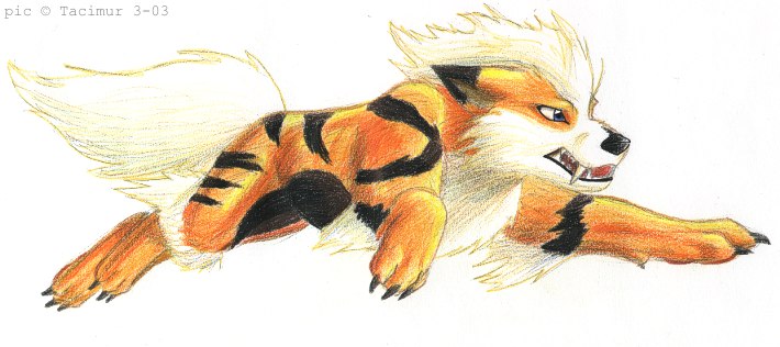 leaping Arcanine