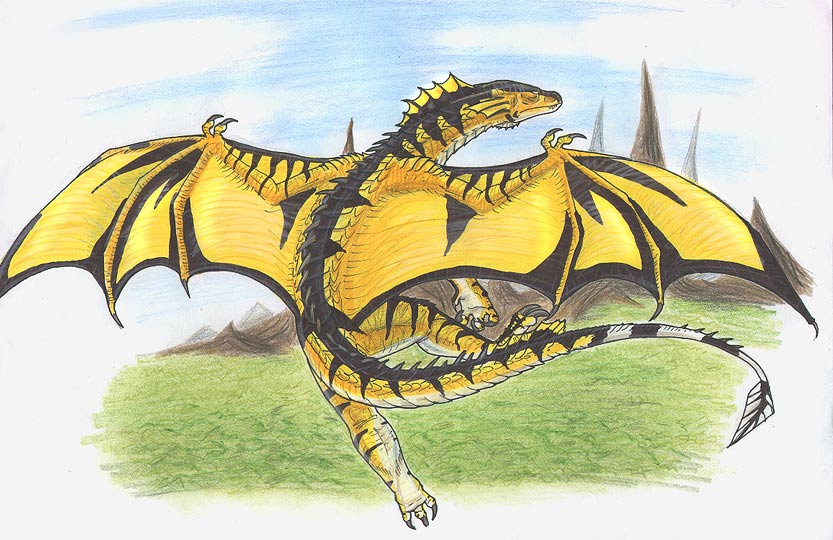 yellow dragon - sketch