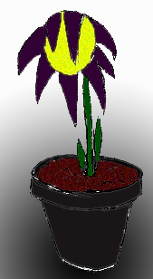 dark flower