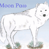 MoonPaw