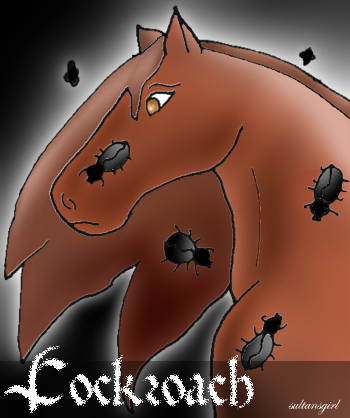 Cockroach - Horse