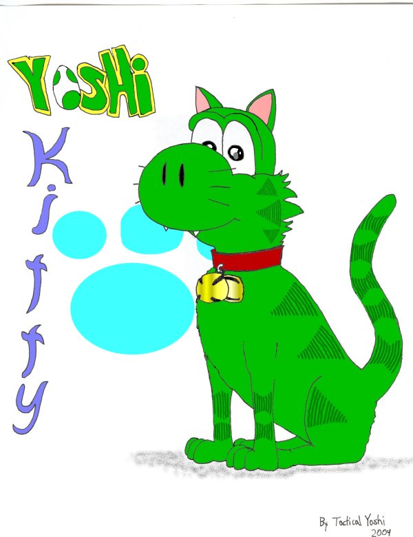 A Yoshi Kitty!