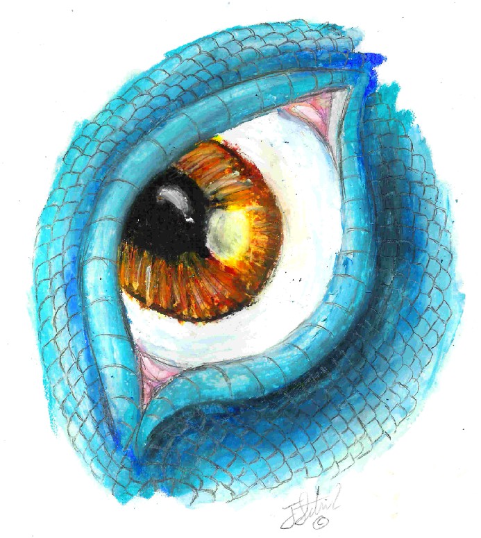 Eye of the Dragon (study)
