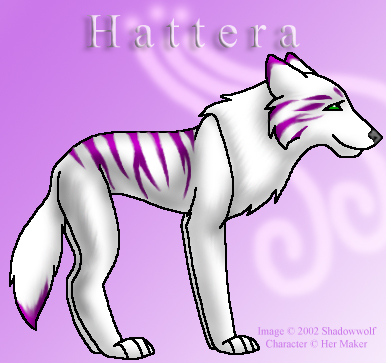 Hattera