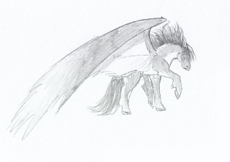 Kewl Pegasus