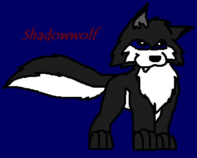 Shadowwolf pup