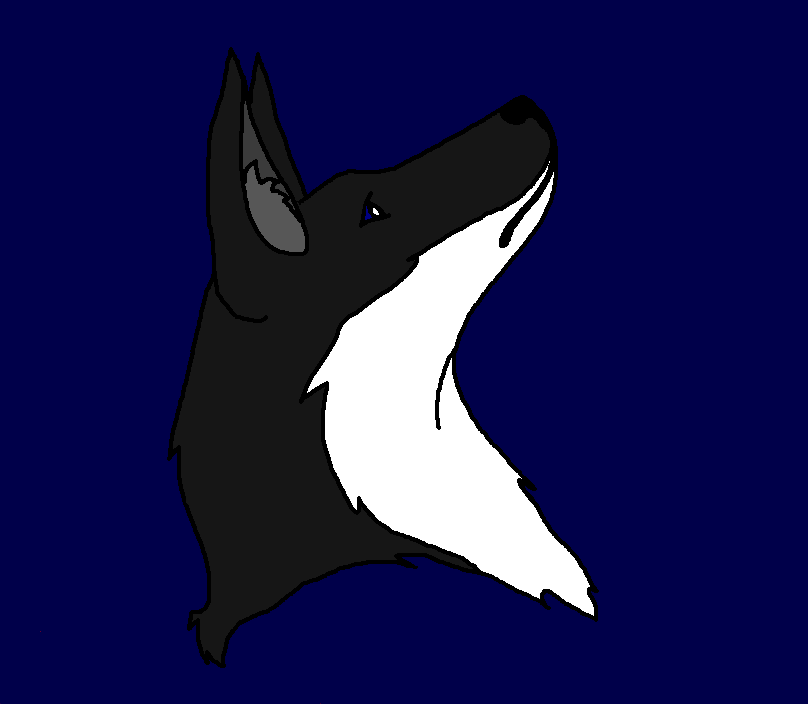 Shadowwolf aginnn