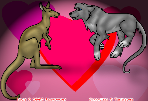 'Roo and a Wolf