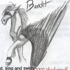 Bandit Winged Horse
