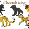 Cheetah King