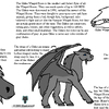 Glider Wined Horse Style Sheet