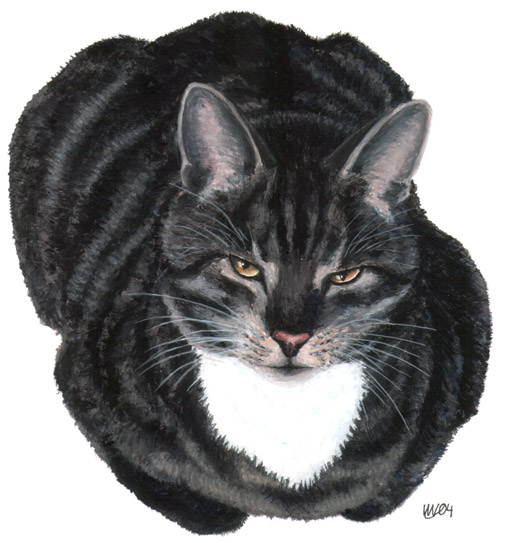 Black tabby cat