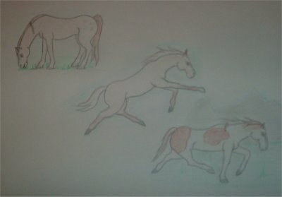 Random Horses