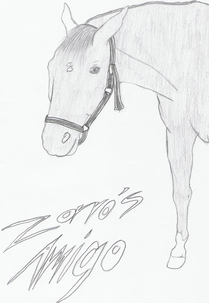 Zorro's Amigo