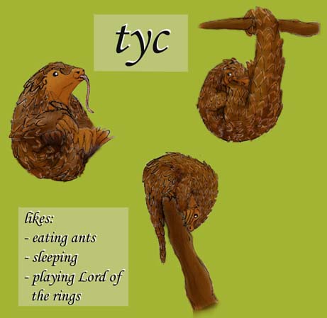 Tyc's ID