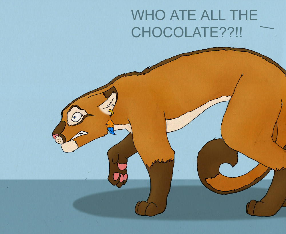 Mmmmm.... chocolate