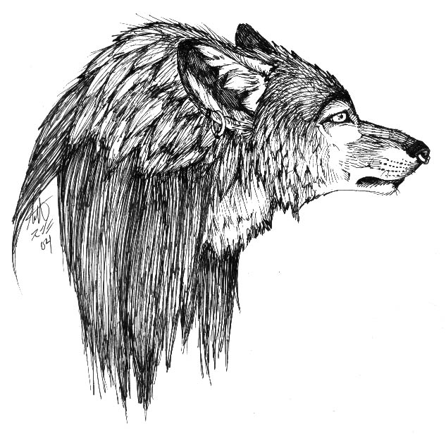 Werewolf Head