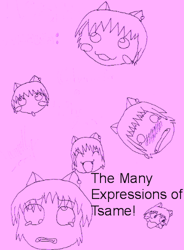 Expressions Are Fun!