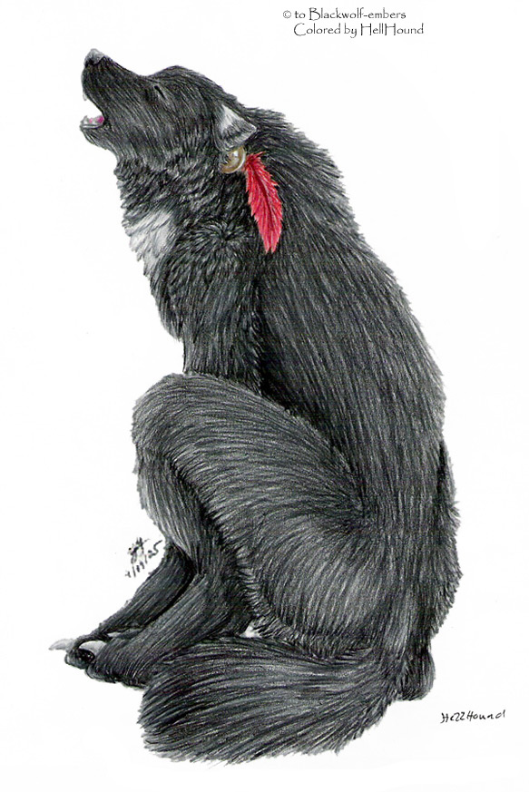 Blackwolf-embers howl