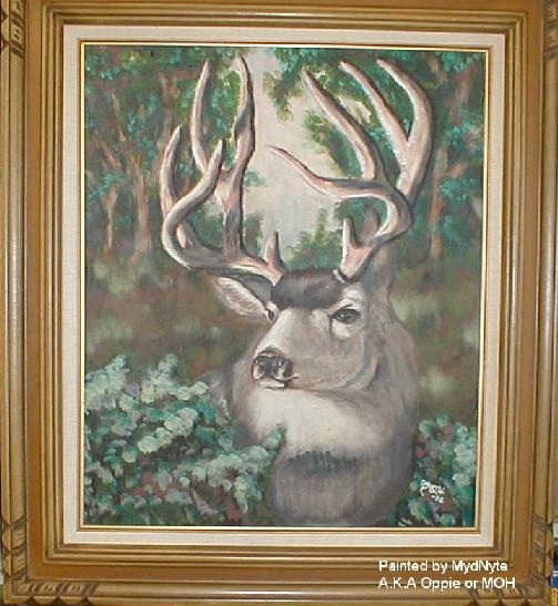 A Deer Portrait