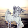 Pegasus on the beach