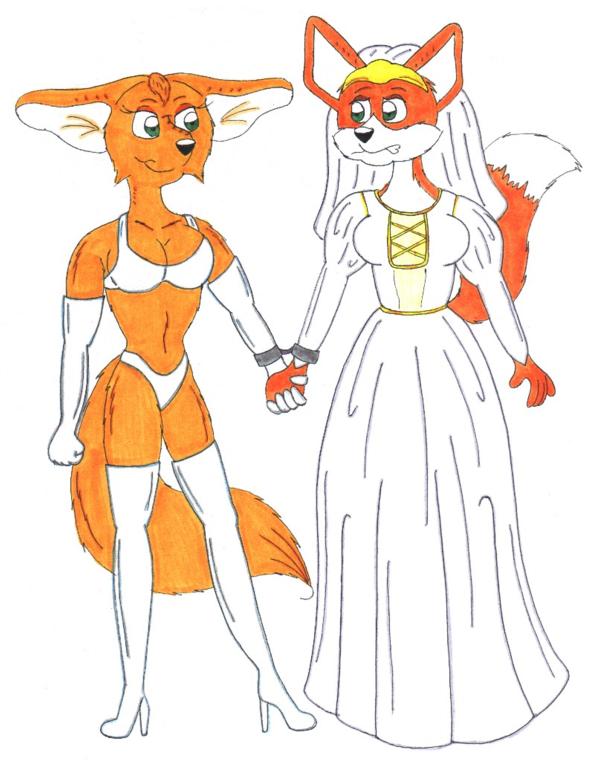 The Star Fox Bride: 