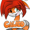 Calico Katt!