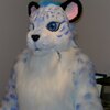 Blue snow leopard