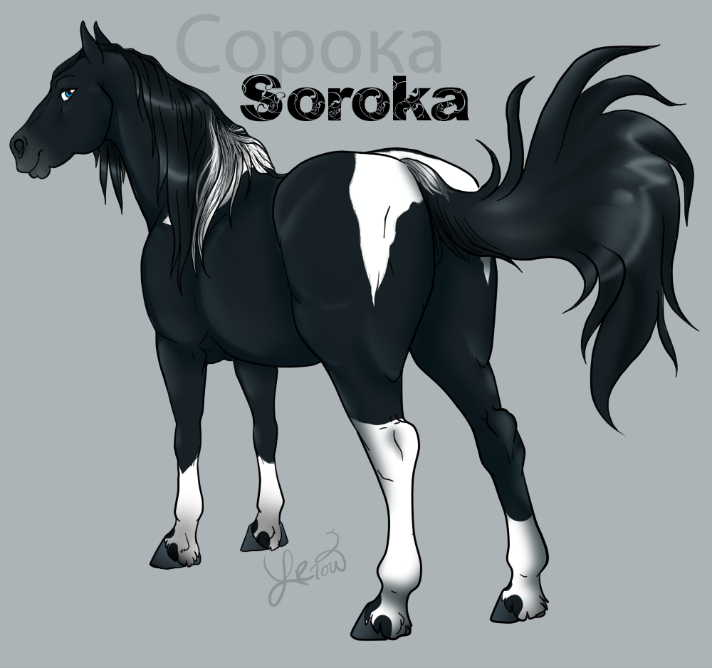Soroka the Mare