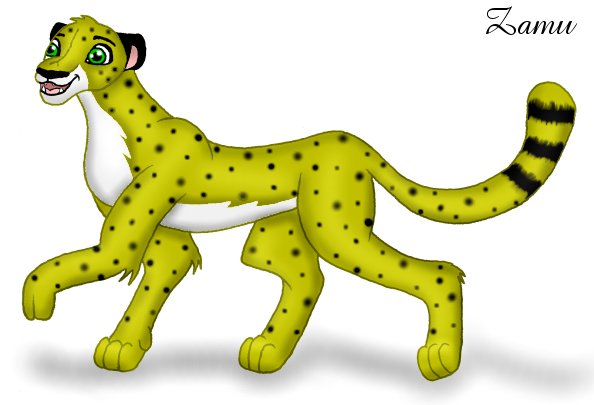 Zamu the cheetah