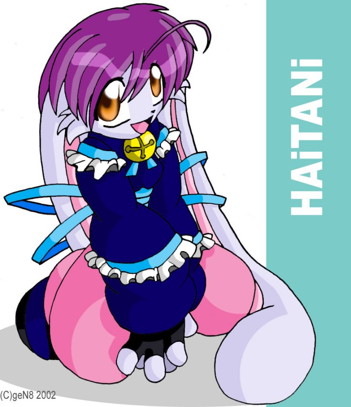 Haitani Rabbit