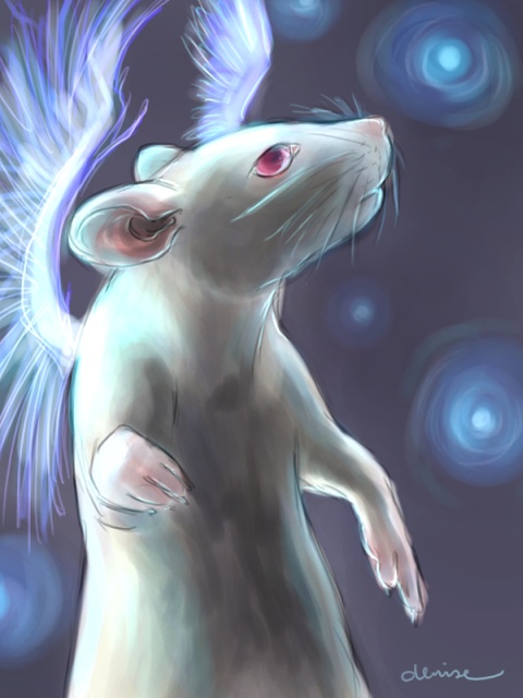 Do Rats Go To Heaven?