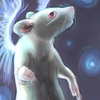 Do Rats Go To Heaven?