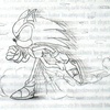 Running Sonic...