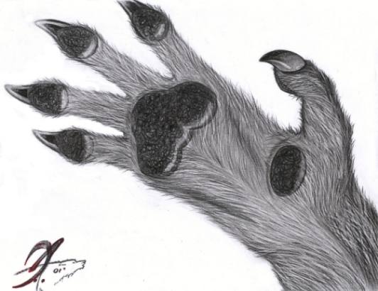 Werewolf hand