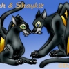 Cainuh And Shaykir