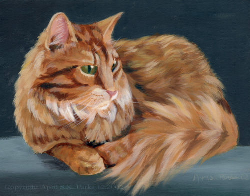 Cat Portrait - Alexander