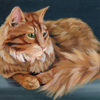 Cat Portrait - Alexander