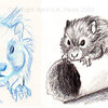 Hamster sketches