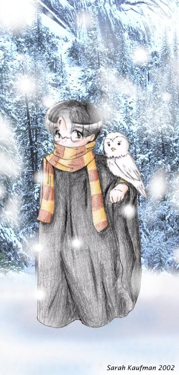 Harry in a Winter Wonderland