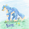 Blue Lupe