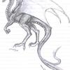 A dragon sketch