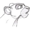 A sketch pic of a lionesses head