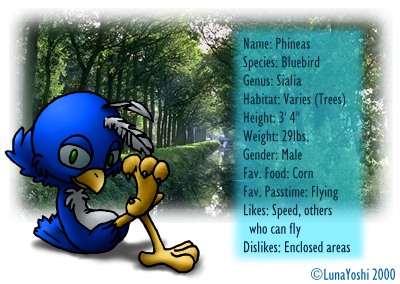 Phineas' Stats pic