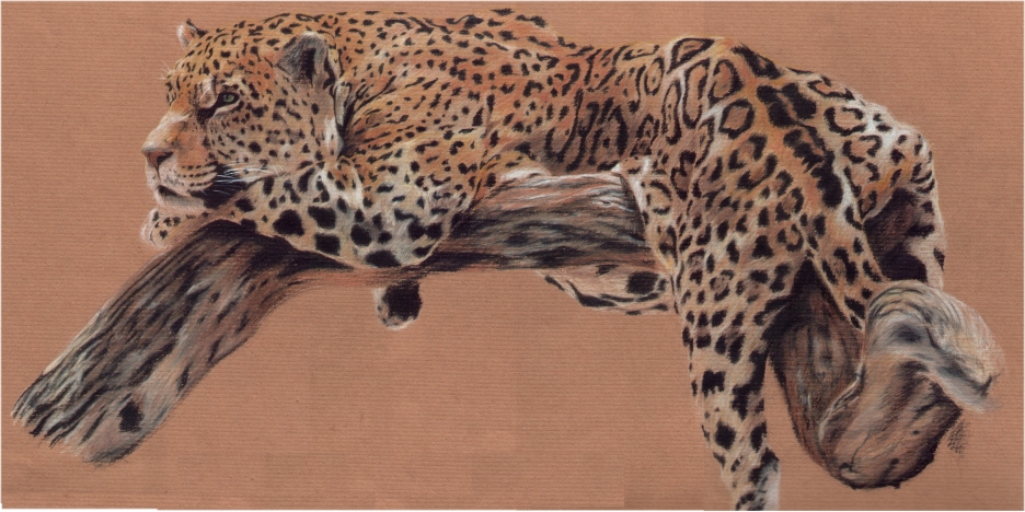 Realism Jaguar