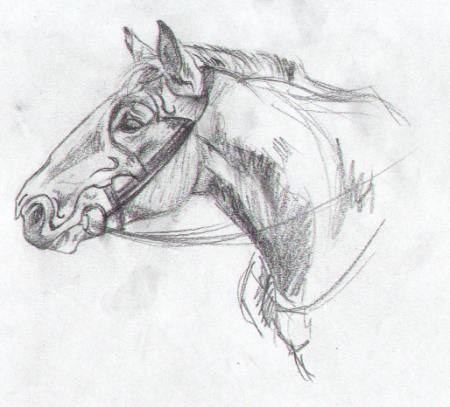Horse Headpiece 2
