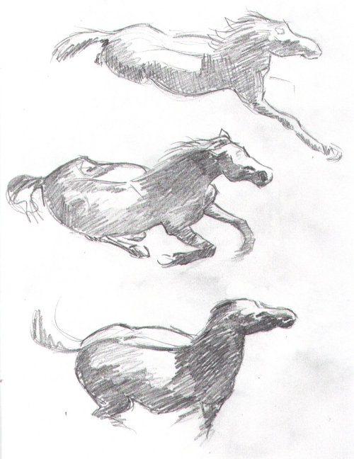Horse Studies 2