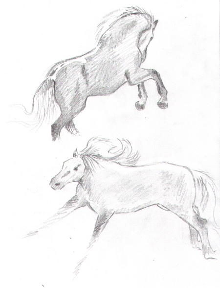 Horse Studies 7