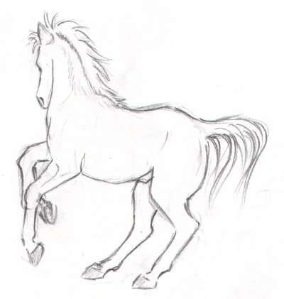 Horse Studies 9